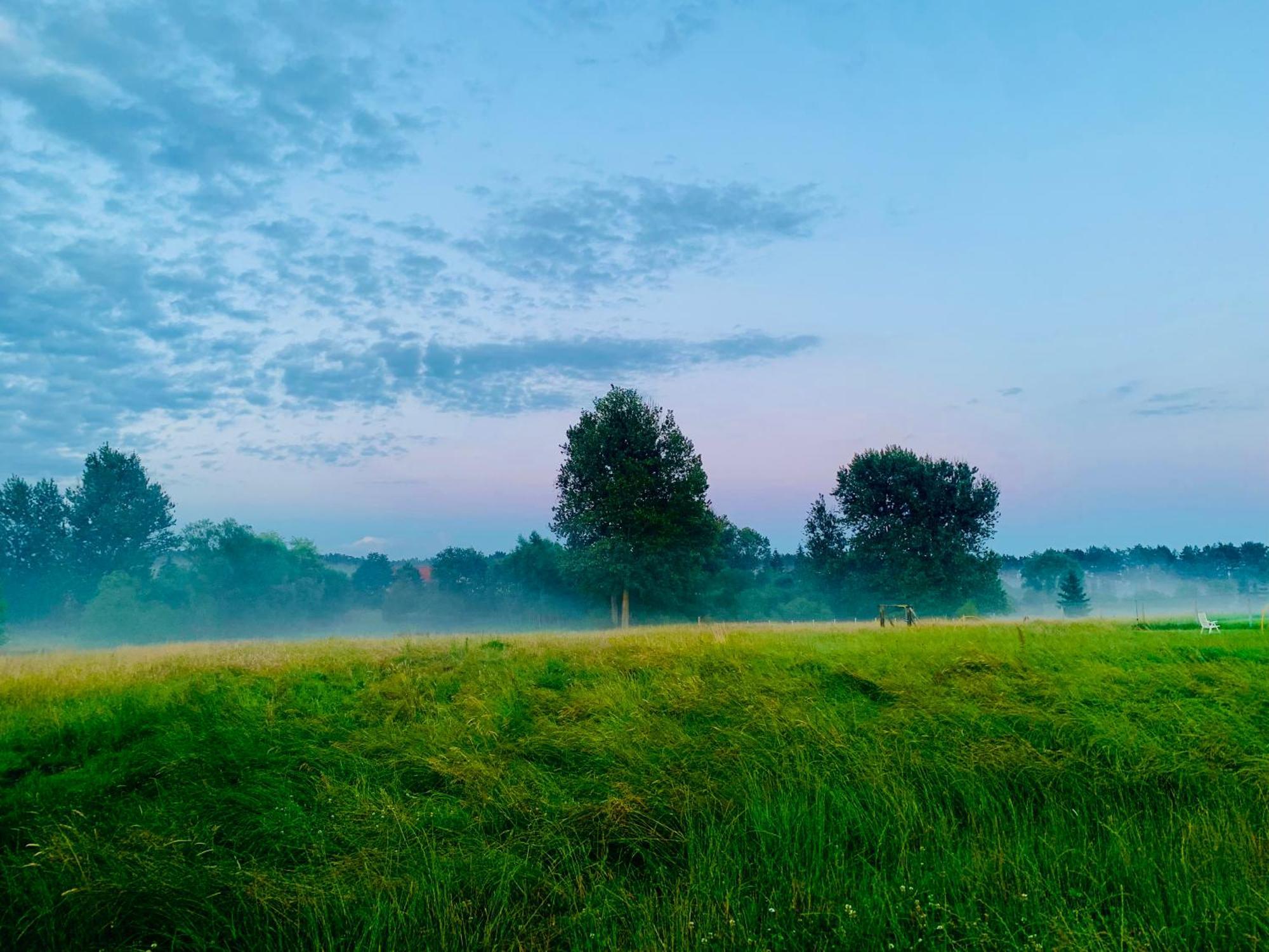 Cieszyno- Uroczy Domek Do Wynajecia Złocieniec Dış mekan fotoğraf